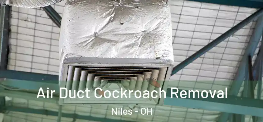 Air Duct Cockroach Removal Niles - OH