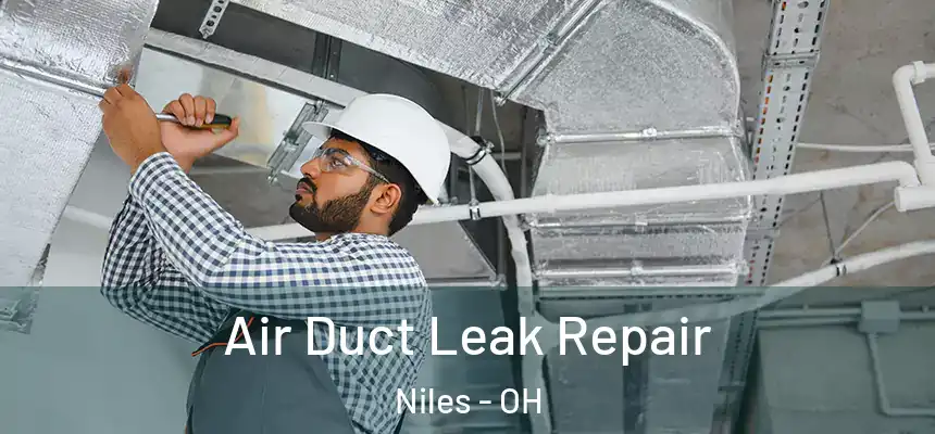  Air Duct Leak Repair Niles - OH