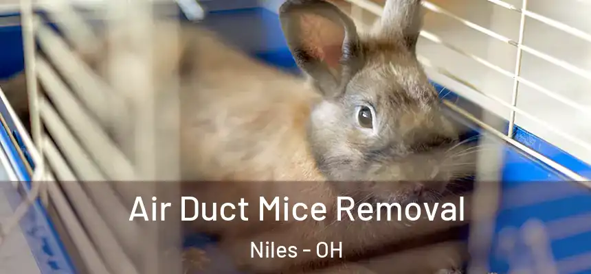  Air Duct Mice Removal Niles - OH