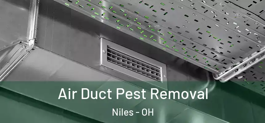  Air Duct Pest Removal Niles - OH