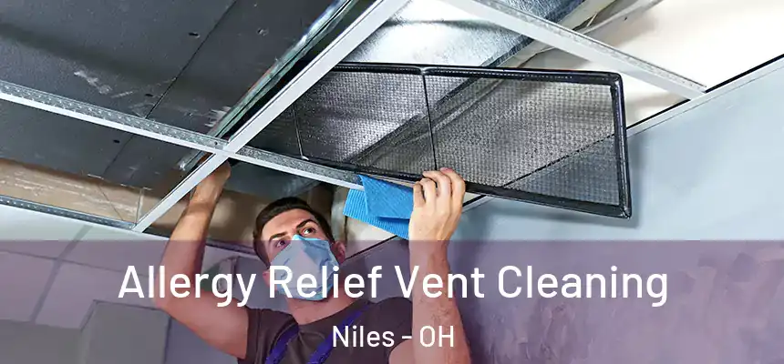 Allergy Relief Vent Cleaning Niles - OH