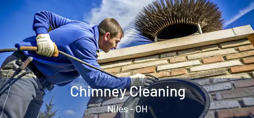  Chimney Cleaning Niles - OH