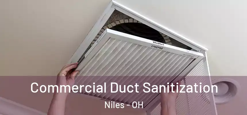  Commercial Duct Sanitization Niles - OH