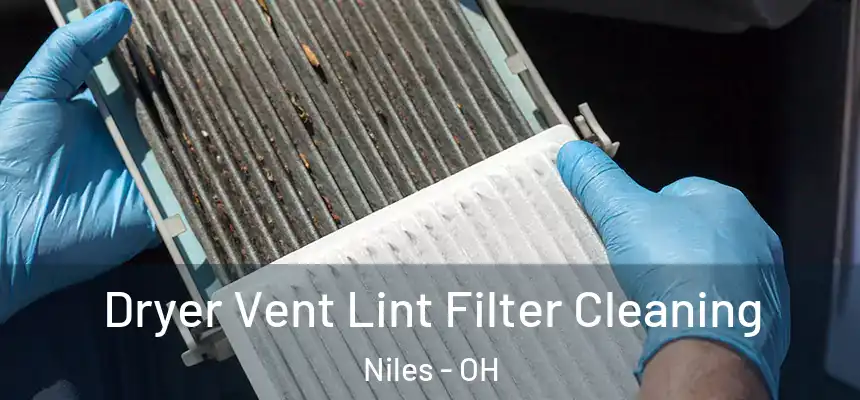 Dryer Vent Lint Filter Cleaning Niles - OH