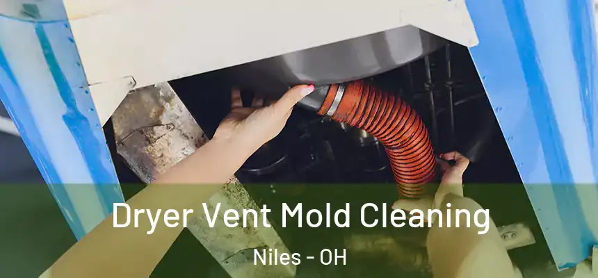Dryer Vent Mold Cleaning Niles - OH