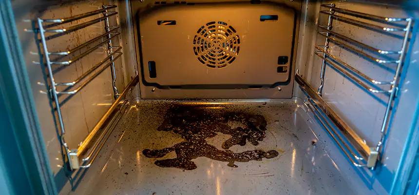 Our Dryer Vent Mold Cleaning Services in Niles, OH