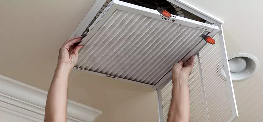 Our Insect Removal from Air Ducts Services in Niles, OH
