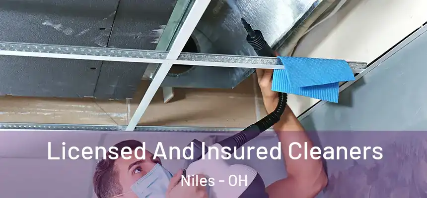 Licensed And Insured Cleaners Niles - OH