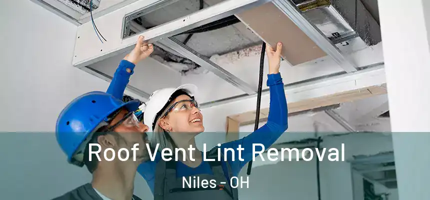  Roof Vent Lint Removal Niles - OH
