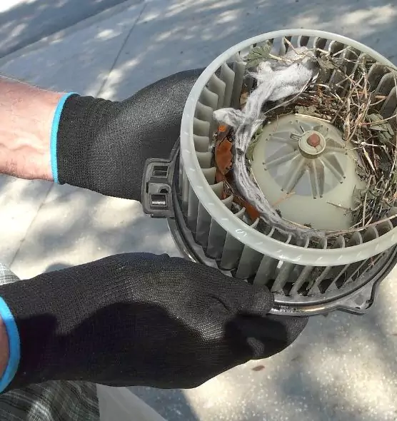 About Air Duct Mice Removal in Niles, OH