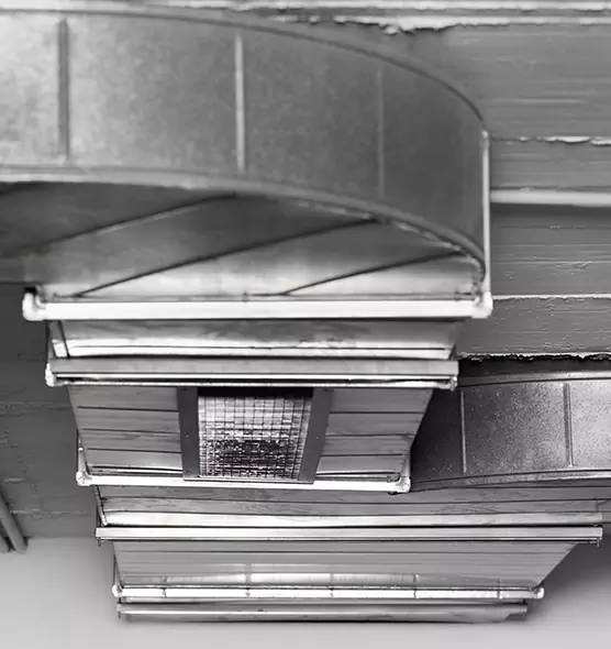 Professional Air Duct Pest Removal in Niles, OH