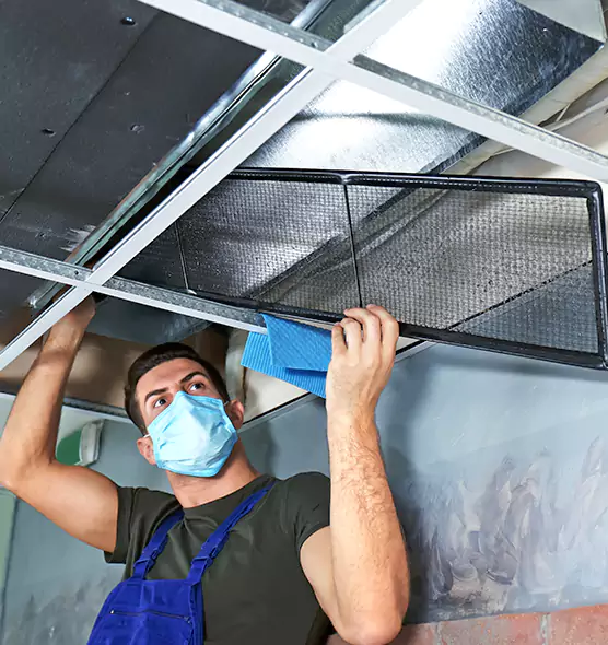 Professional Air Duct Pollen Cleaning in Niles, OH