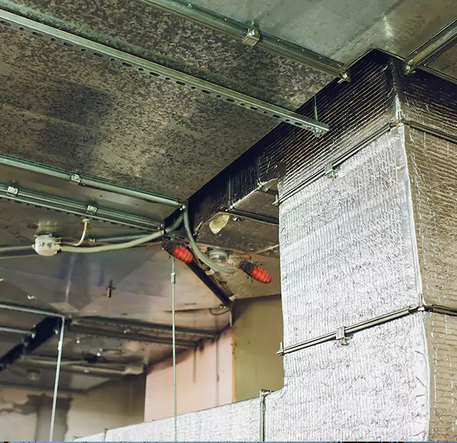 Why Homeowners & Businesses Trust Us in Niles, OH?