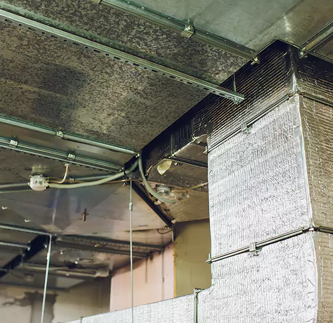 Why Homeowners & Businesses Trust Us in Niles, OH?