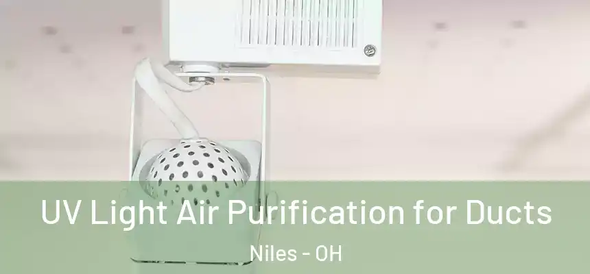  UV Light Air Purification for Ducts Niles - OH